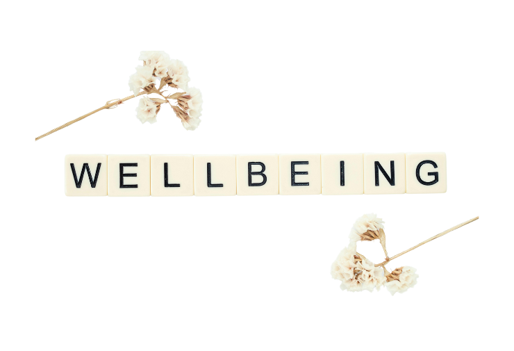 Why Gut Health is the Key to Overall Well-Being