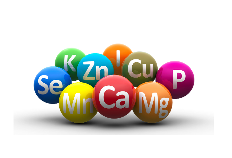 The Importance of Vitamins & Minerals for a Healthy Life